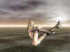 babe08c.jpg (112882 bytes)