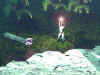 lake03flare.jpg (62287 bytes)
