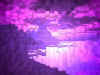 purplehaze02.jpg (73968 bytes)