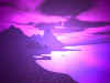 purplehaze.jpg (63582 bytes)